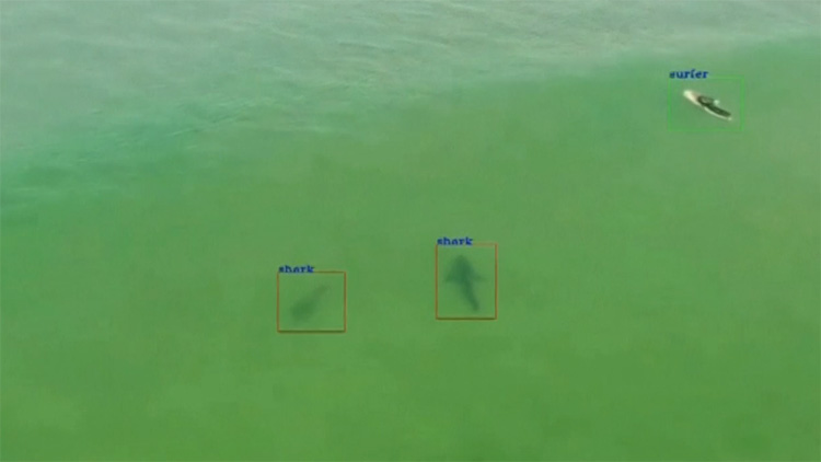 Autonome drones beschermen surfers tegen haaien in Australië