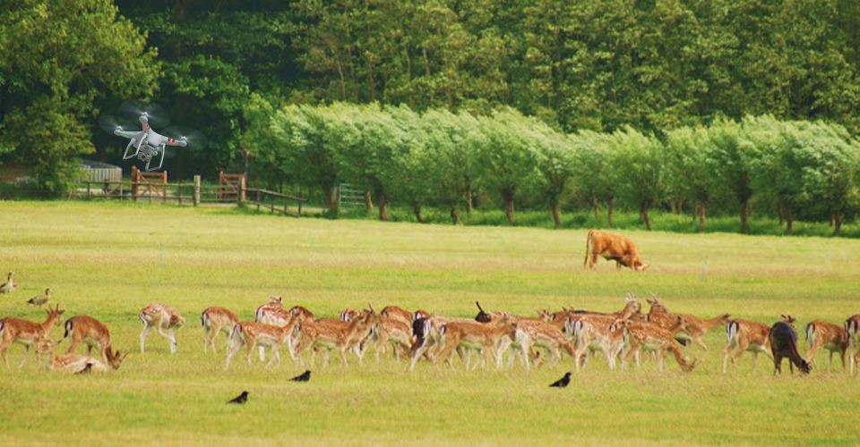 Drone quadcopter overlast op de veluwe1