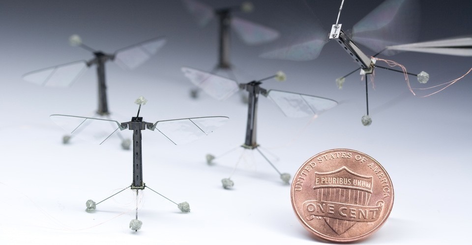 robobees harvard drones microdrone nasa bijen nar mannetjesbij bestuiven bloemen