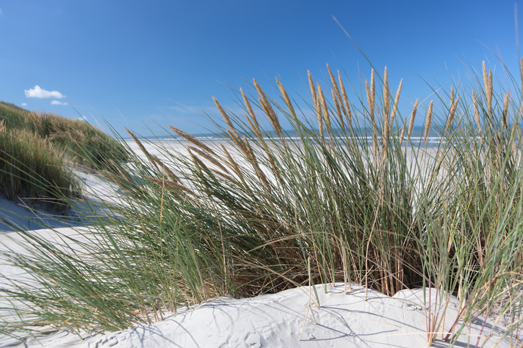 Ameland door het oog van een drone 